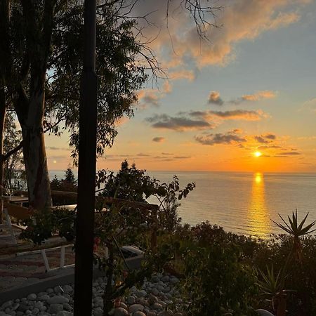 Villa Vistamare Piedigrotta Casa Sul Mare Pizzo  Esterno foto