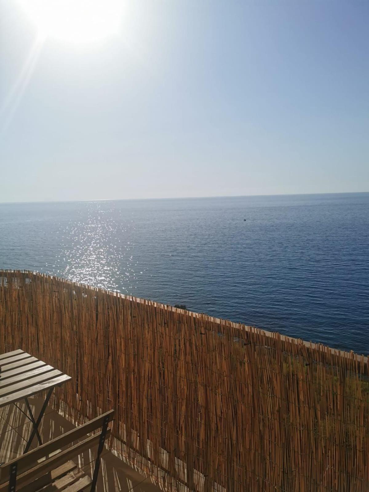 Villa Vistamare Piedigrotta Casa Sul Mare Pizzo  Esterno foto